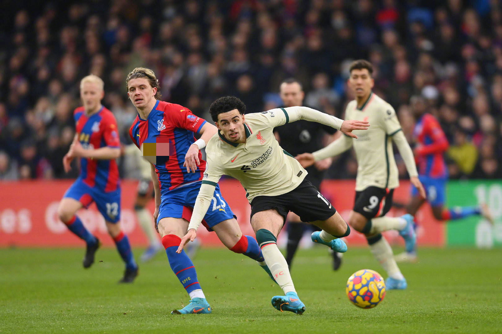 从整体来看 从整体来看